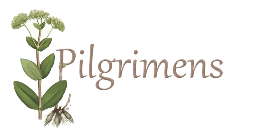 Pilgrimens